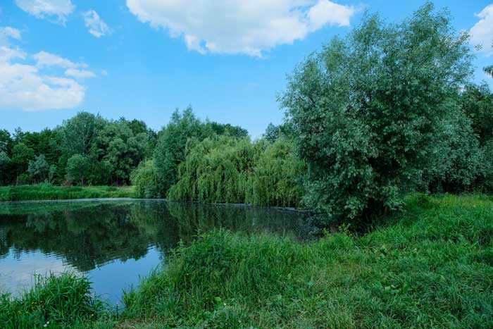 hetmanskiy-(28)