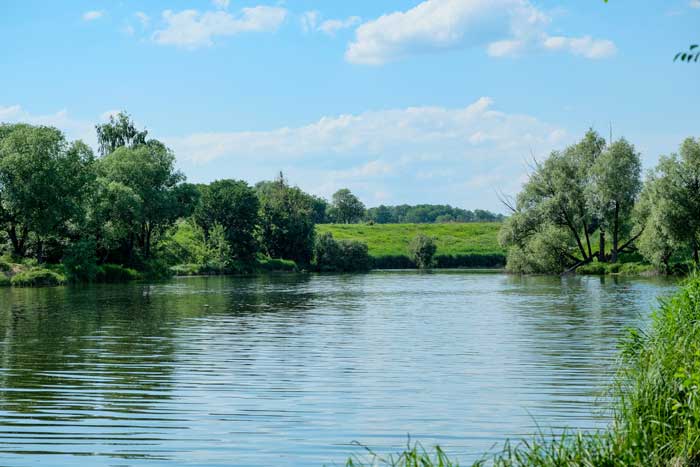 hetmanskiy-(29)